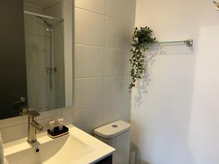 Santiago Centro I La Moneda I Paseo Ahumada - 6