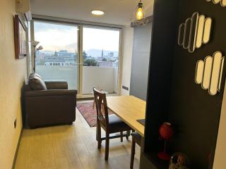 Santiago Centro I La Moneda I Paseo Ahumada - 9