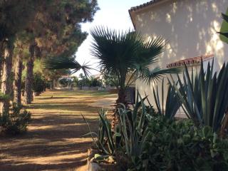 3 bed, 2 bath villa, private pool, quiet area - 5