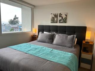 Santiago Centro I La Moneda I Paseo Ahumada - 5