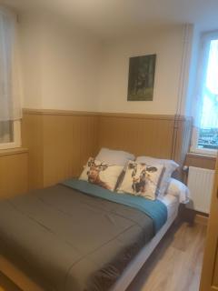 Les Locations de Stéphanie ,gîte L'Arbre Vert - 3