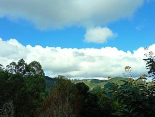 NETHSARA cottage - 4