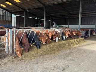 Weatherhead Farm - Buckingham - 8