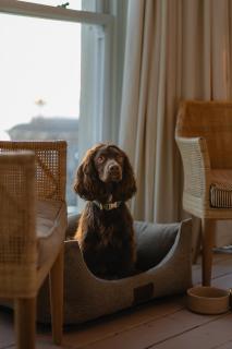 No.124 by GuestHouse, Brighton - 1