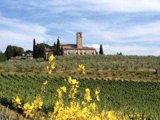 Historic Farmhouse Overlooking San Gimignano - 8