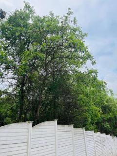 Hlatsi Bushview Apartments & Safaris - 1