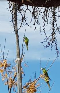 Hospedaje La Casona de los Paredones - 7