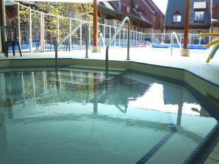 Marvellous Poolside Chalet - Pool & Hot Tub - Pets - 5