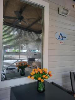 #429 Status Relax Dezela - 0