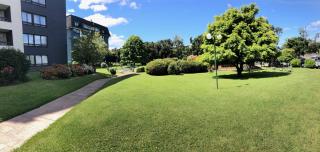 Céntrico departamento a pasos del lago - 9