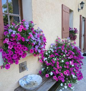 Gite du Chateau De La Renaudie - 6