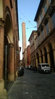 The Frog's Hideaway - 9