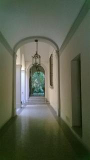 The Frog's Hideaway - Bologna - 6