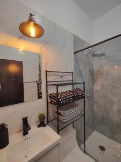 Beautiful Upscale Modern home with Private Pool 4E - 2