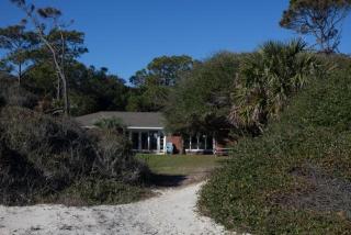 Always Turtle Crawl - 8