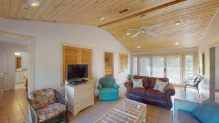 Always Turtle Crawl - 4