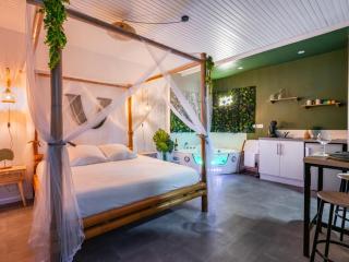 Sault Tropical - Idéal couple - Balnéo Led - Vue parc & montagne - Wifi - Stationnement gratuit - 5min à pied des bars, restaurants & commerces - Sault - 0