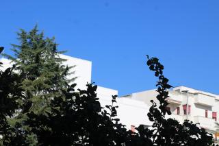 Lemon tree House Salerno - 6