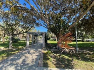 Lemon tree House Salerno - 5