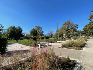 Lemon tree House Salerno - 4