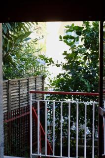 Lemon tree House Salerno - 3