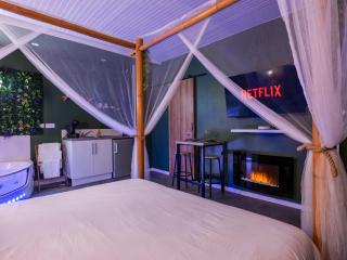 Sault Tropical - Idéal couple - Balnéo Led - Vue parc & montagne - Wifi - Stationnement gratuit - 5min à pied des bars, restaurants & commerces - Sault - 2