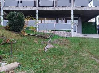 Ortachala Valley Retreat - 8