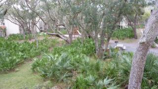 Villa 212 - Oceanbreeze - 8