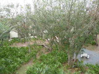 Villa 212 - Oceanbreeze - 6