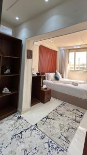 Soul Scarab Pyramids View - 2