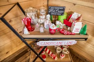 Luxury Sevierville Cabin with Private Hot Tub! - 3