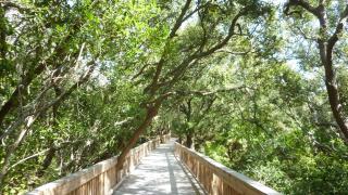 Latitude Adjustment @ Ocean Oaks - 3