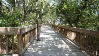 Heron House @ Ocean Oaks - 4