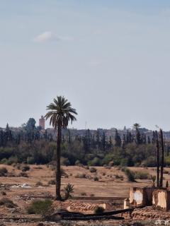 Luxury villa with heated pool and private Hammam - 8