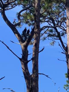 Villa 315 - The Eagles Nest - 8