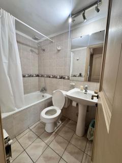 Departamento Pet friendly a Metros del Mall Cenco Temuco, Casino Dreams y Av Alemania - 1