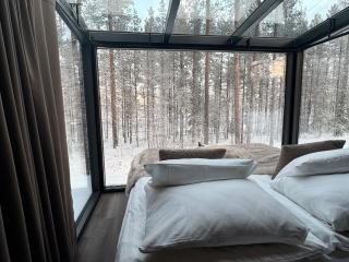 Balder Luxury Lodge & Glass Igloos - 4