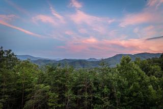 Evergreen Escape - 3