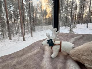 Balder Luxury Lodge & Glass Igloos - 7