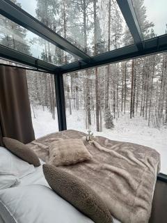 Balder Luxury Lodge & Glass Igloos - 8