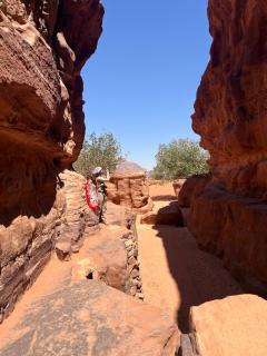 Wadi rum oblivion camp - 5