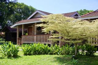 Elysia Resort Langkawi - 5