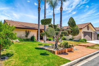Luxury Entertainer's Home Infinity Pool & View! - 6
