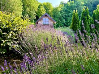 Vila Countryhouse Pijevci - 9