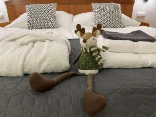 Goldvilla Apartman - Zalakaros - 9