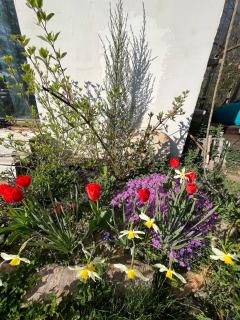 Cozy frame house in the wood - 9