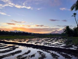 ScandiTropical Lagoon Villa Pool & Garden laguna - 9
