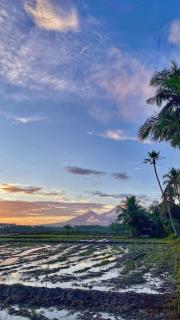 ScandiTropical Lagoon Villa Pool & Garden laguna - 2