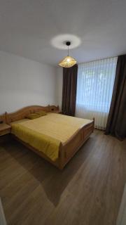 Apartament 2 camere, central - 5