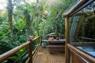 Chalé da Floresta - 1